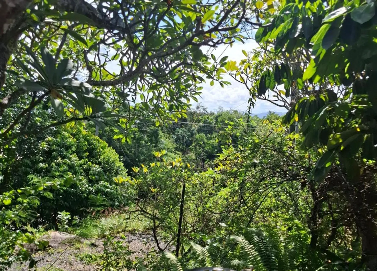 J & Ella'S Holiday House - 2 Bedroom, 2 Bathroom Home Cooktown